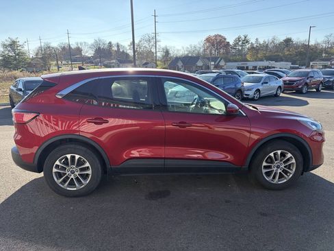 Used 2021 Ford Escape SE w/ Convenience Package FWD image 6