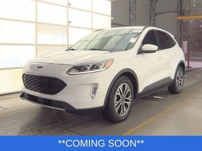 Used 2020 Ford Escape SEL