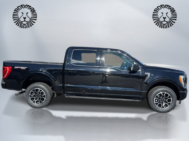 Certified 2023 Ford F150 XLT w/ Equipment Group 302A High AWD/4WD image 5