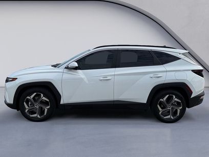 Used 2024 Hyundai Tucson SEL w/ Convenience Package