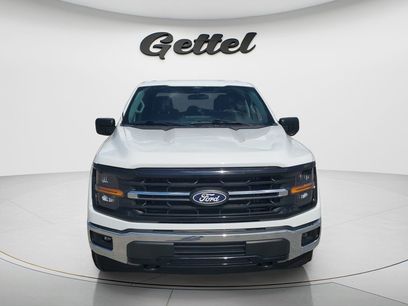 Used 2025 Ford F150 XLT w/ Equipment Group 301A Standard