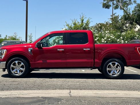 Certified 2021 Ford F150 XLT w/ Equipment Group 302A High RWD image 6