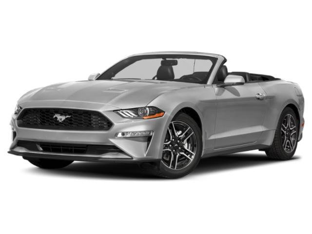 Used 2019 Ford Mustang Premium RWD image 1