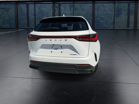 Used 2024 Lexus NX 250 FWD image 4