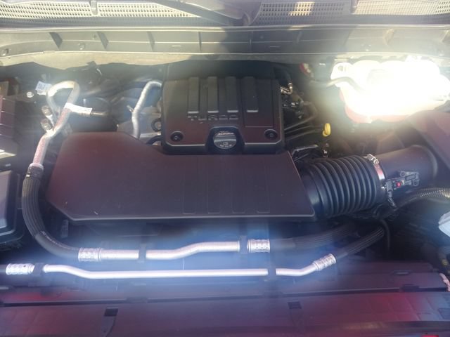 Used 2025 GMC Sierra 1500 Elevation w/ LPO, Elevation Black Package RWD image 13