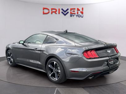 Used 2023 Ford Mustang Coupe w/ Equipment Group 101A