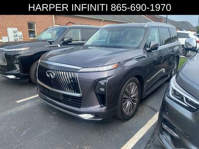 Certified 2025 INFINITI QX80 Luxe