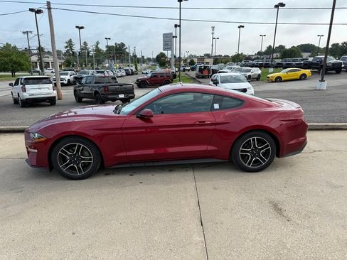 Used 2019 Ford Mustang Coupe w/ Equipment Group 101A RWD image 9