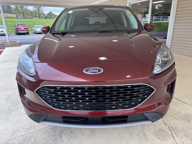 Used 2021 Ford Escape SE w/ Convenience Package AWD/4WD image 10