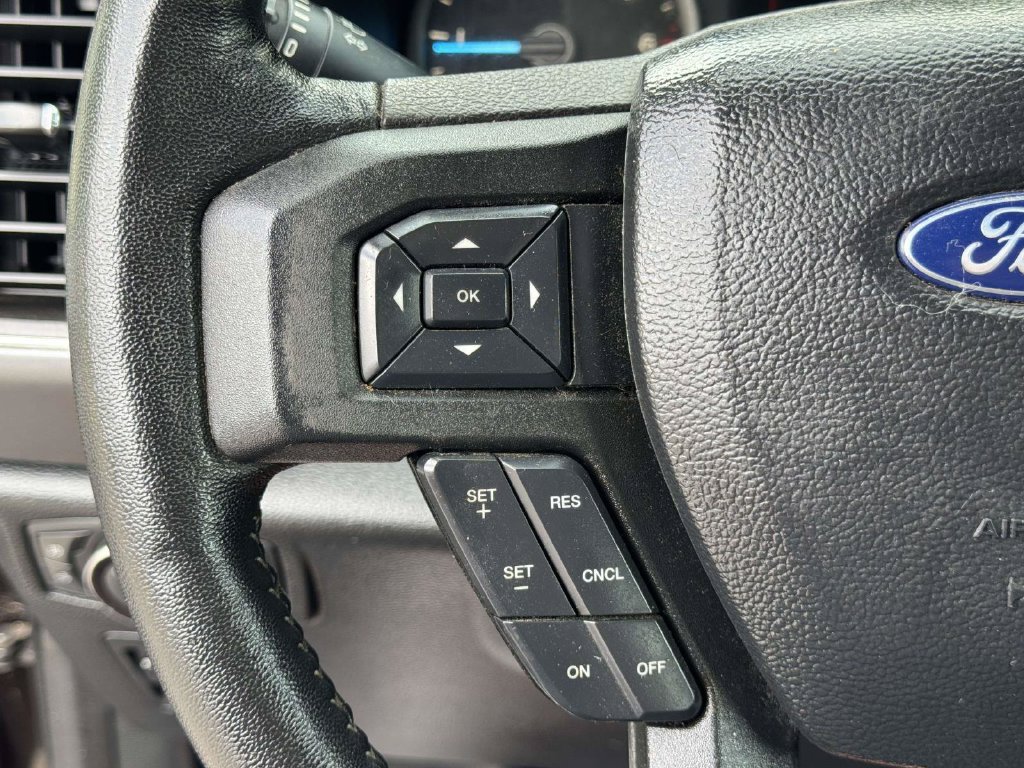 Used 2019 Ford F150 XLT w/ Equipment Group 302A Luxury AWD/4WD image 12
