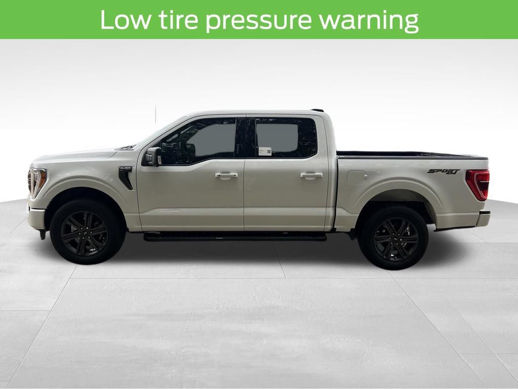 Used 2023 Ford F150 XLT w/ Equipment Group 302A High AWD/4WD image 14