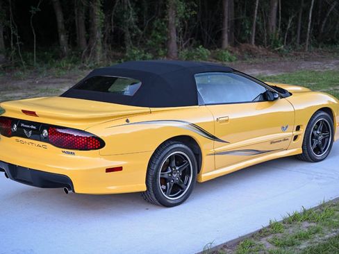 Used 2002 Pontiac Firebird Trans Am RWD image 8