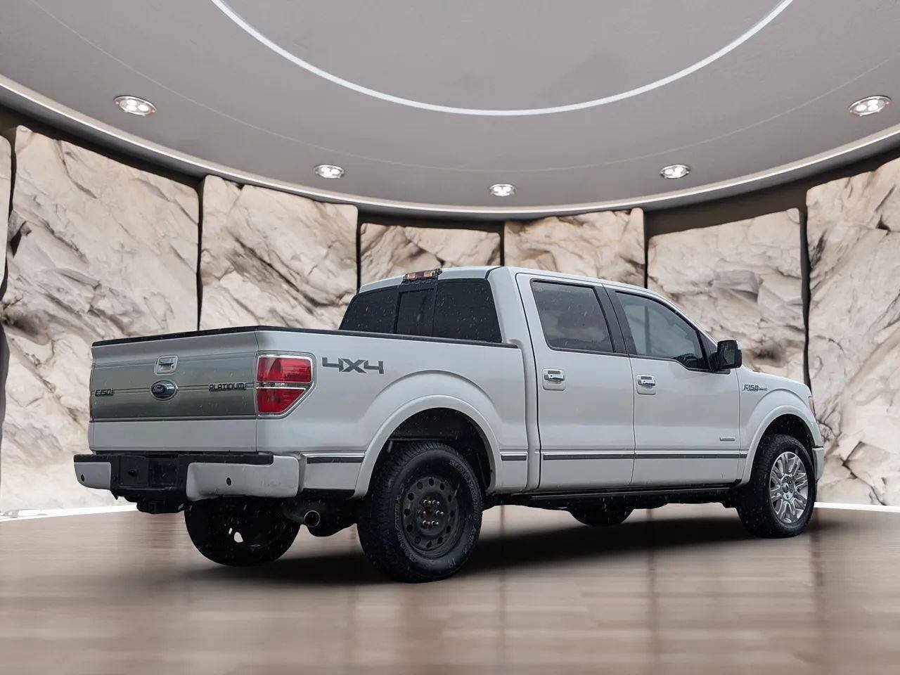 Used 2011 Ford F150 Platinum AWD/4WD image 14