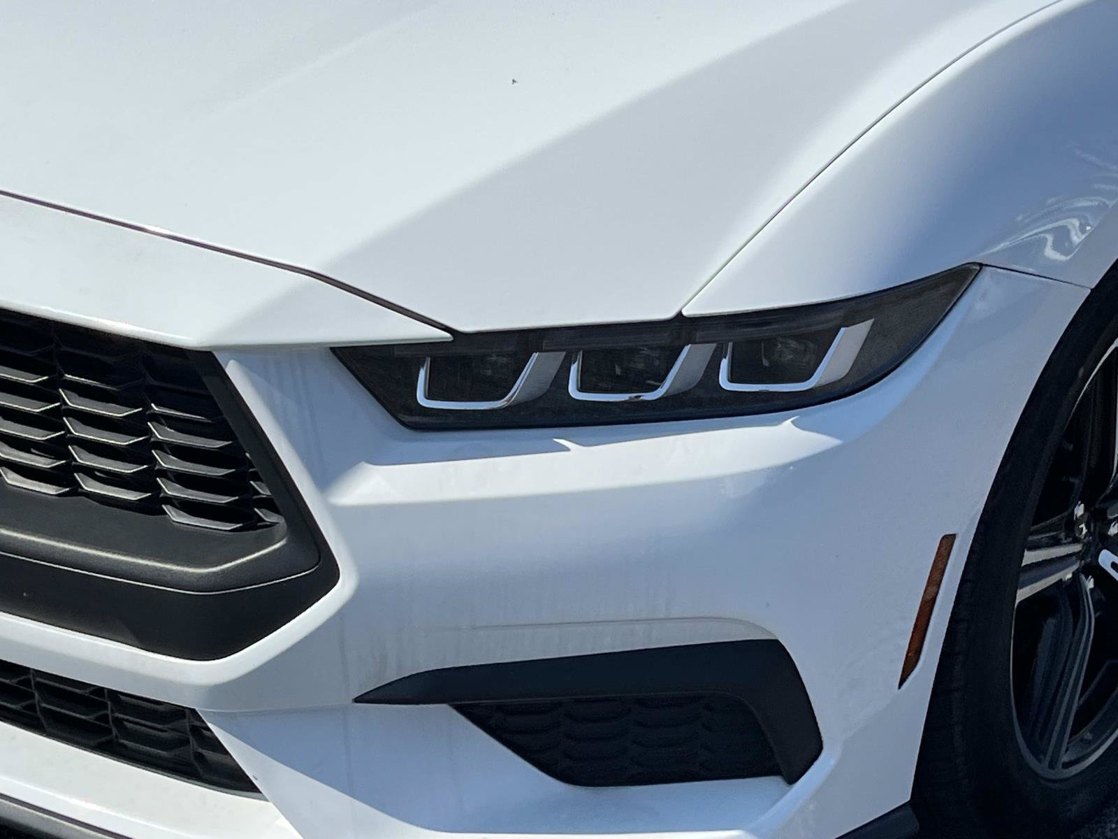 Used 2024 Ford Mustang Premium RWD image 11