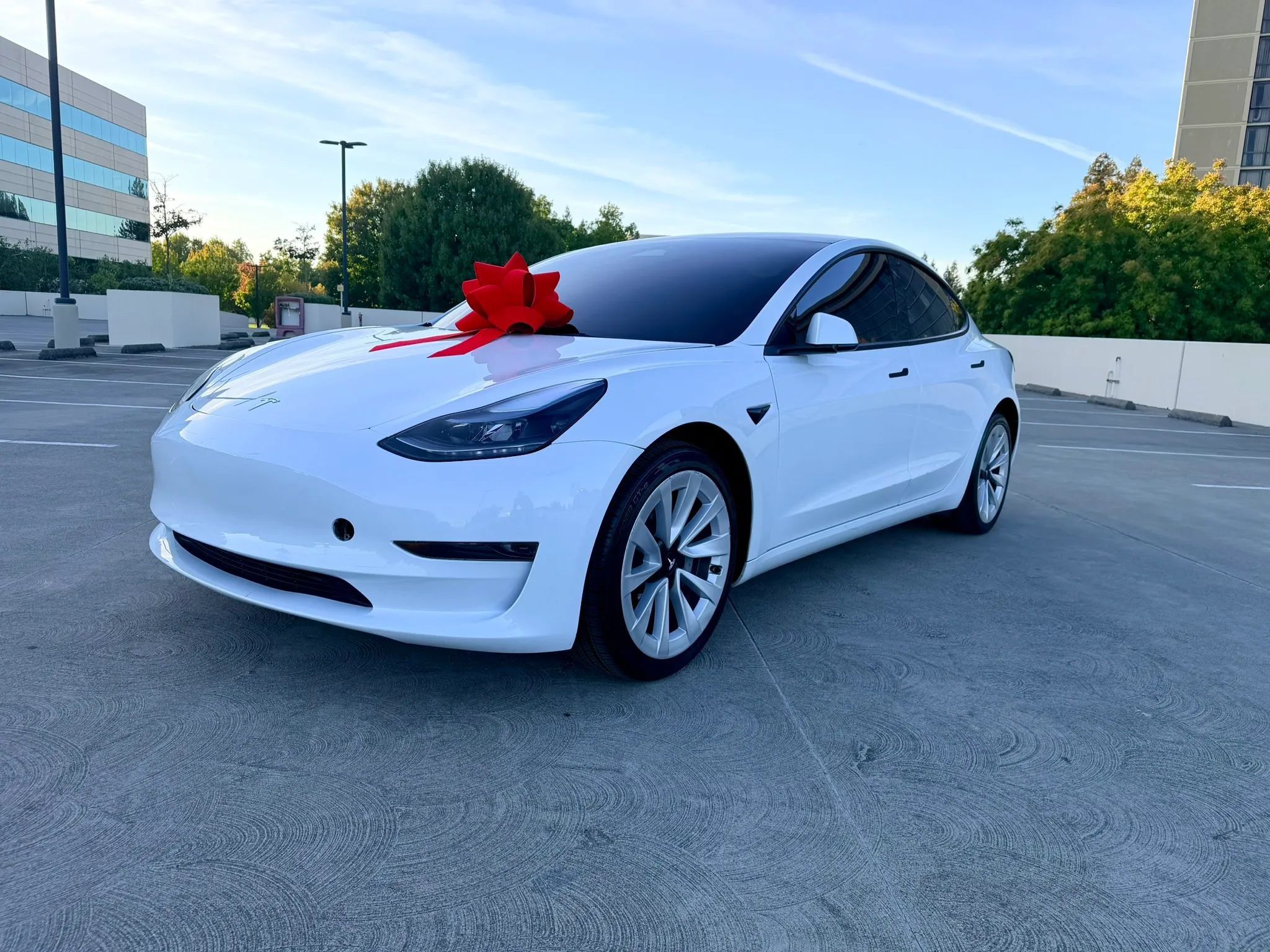 Used 2023 Tesla Model 3 Standard Range RWD image 6