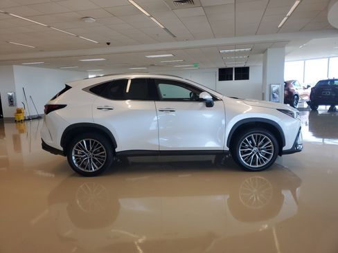 Used 2023 Lexus NX 350h AWD image 11