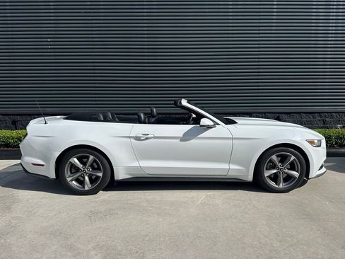 Used 2017 Ford Mustang Premium image 11