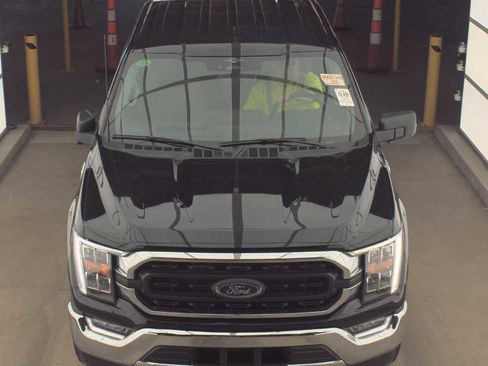 Used 2023 Ford F150 XLT w/ Equipment Group 302A High image 2