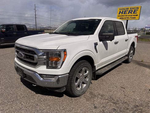 Used 2021 Ford F150 XLT w/ Equipment Group 302A High AWD/4WD image 1