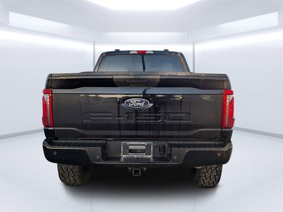 Used 2025 Ford F150 XLT w/ Equipment Group 301A Standard