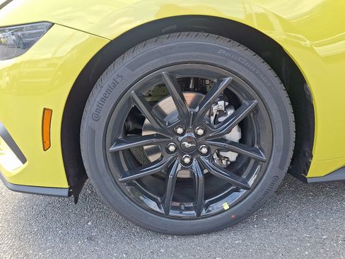 New 2025 Ford Mustang Premium w/ Mustang Nite Pony Package RWD image 18