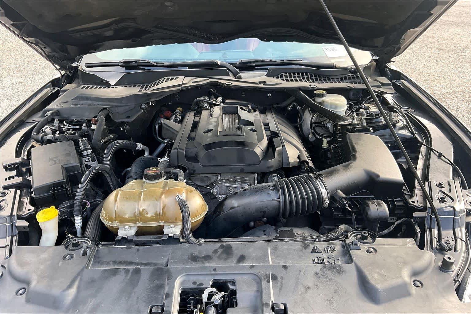 Used 2018 Ford Mustang Premium w/ Equipment Group 201A RWD image 31