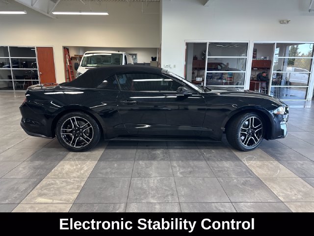 Used 2018 Ford Mustang Premium w/ Equipment Group 201A RWD image 11