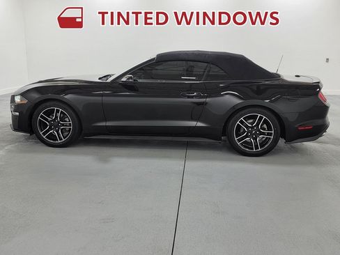 Used 2021 Ford Mustang Premium RWD image 5