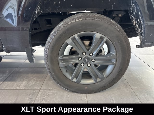 Used 2023 Ford F150 XLT w/ Equipment Group 302A High AWD/4WD image 5