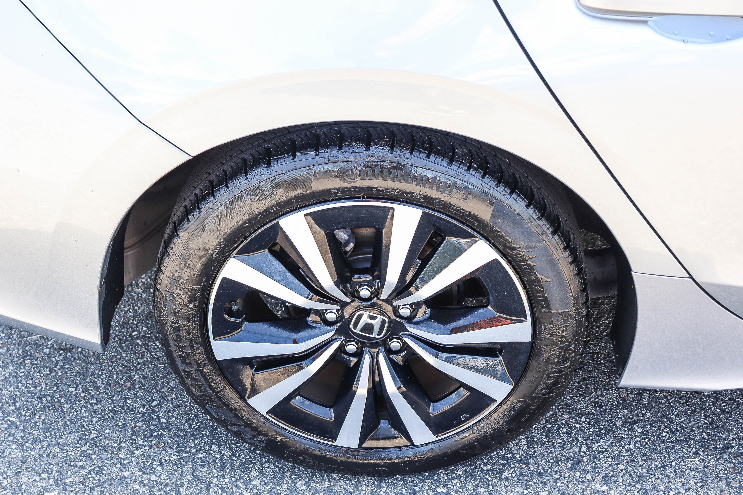 Certified 2024 Honda Civic EX-L image 8