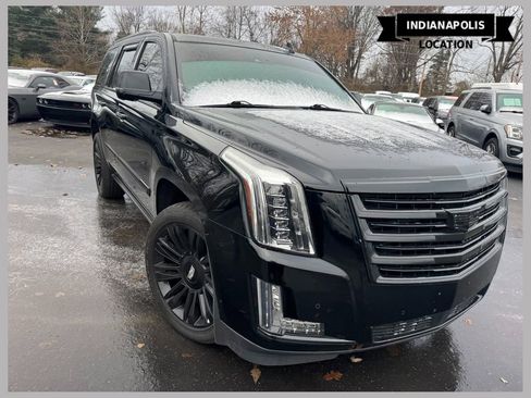 Used 2015 Cadillac Escalade Platinum image 1