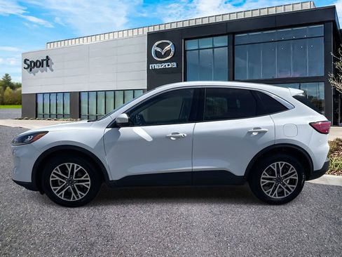 Used 2022 Ford Escape SEL image 7