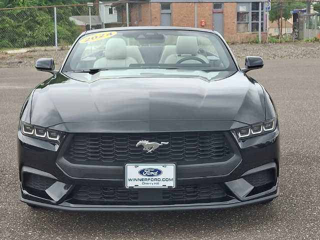 Used 2024 Ford Mustang Premium RWD image 2