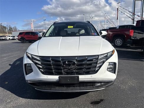 Used 2024 Hyundai Tucson Limited image 11