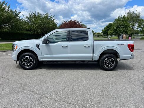 Used 2023 Ford F150 XLT w/ Equipment Group 302A High AWD/4WD image 6