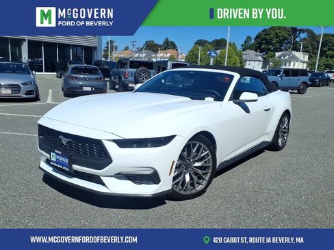 Used 2026 Ford Mustang Premium RWD image 1