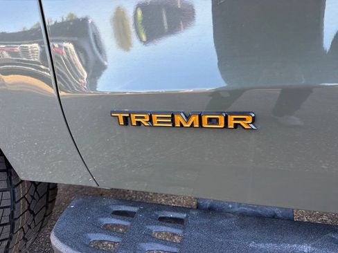 Used 2025 Ford Expedition Tremor AWD/4WD image 10