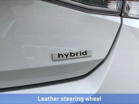 New 2025 Hyundai Elantra Limited image 29