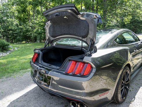 Used 2015 Ford Mustang Shelby GT350 RWD image 78