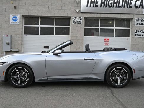 Used 2025 Ford Mustang Premium image 2