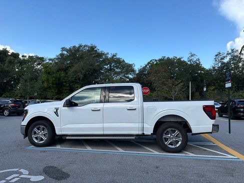 Used 2025 Ford F150 XLT w/ Equipment Group 301A Standard RWD image 9