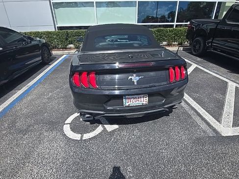 Used 2020 Ford Mustang Premium w/ Equipment Group 201A image 5