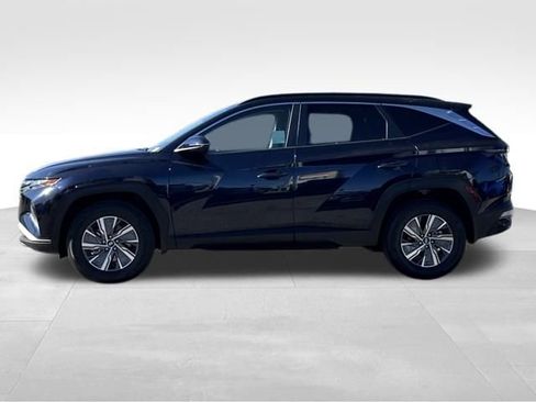 Used 2023 Hyundai Tucson Blue image 2