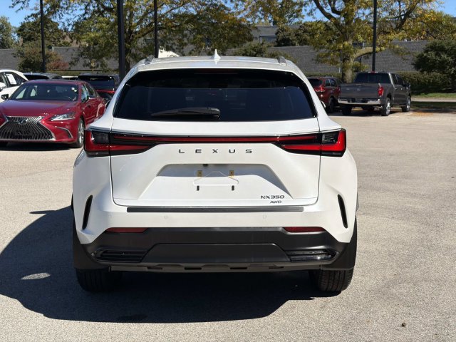 Used 2024 Lexus NX 350 AWD image 6