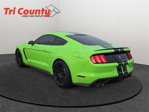 Used 2016 Ford Mustang Shelby GT350 image 6