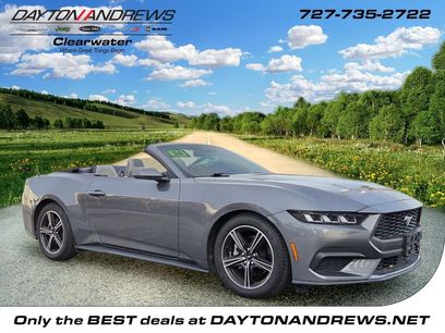 Used 2024 Ford Mustang Premium