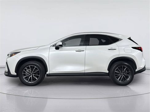 Used 2024 Lexus NX 350h AWD image 2