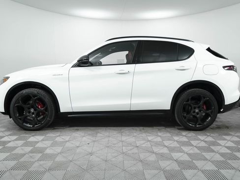 New 2025 Alfa Romeo Stelvio Sprint image 5