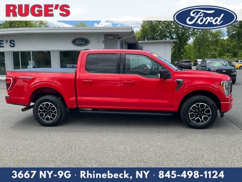 Used 2023 Ford F150 XLT w/ Equipment Group 302A High AWD/4WD image 2