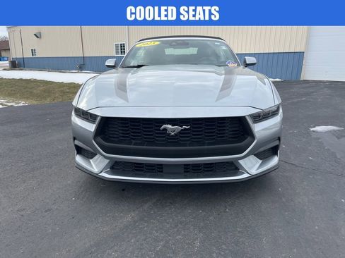 Used 2025 Ford Mustang Premium w/ Wheel & Stripe Package image 9